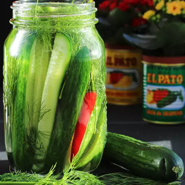 Fermented Kosher-Style Dill Pickles Recipe 