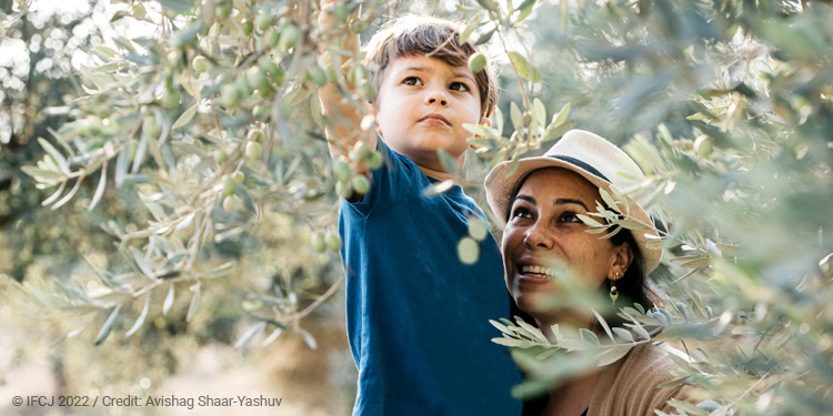 Yael Eckstein and her family in an olive grove, Yael holds her son up into a tree to pick olives.